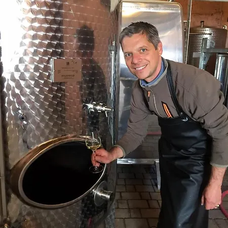 Apartment Abtei - Wohnen Auf Einem Historischen Weingut