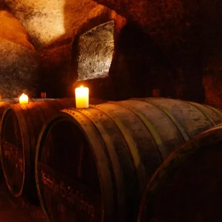 Abtei - Wohnen Auf Einem Historischen Weingut *