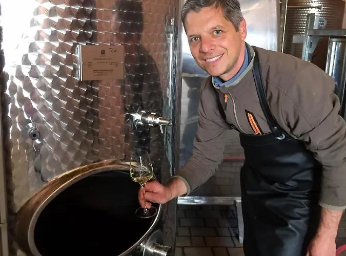 Apartamento Abtei - Wohnen Auf Einem Historischen Weingut