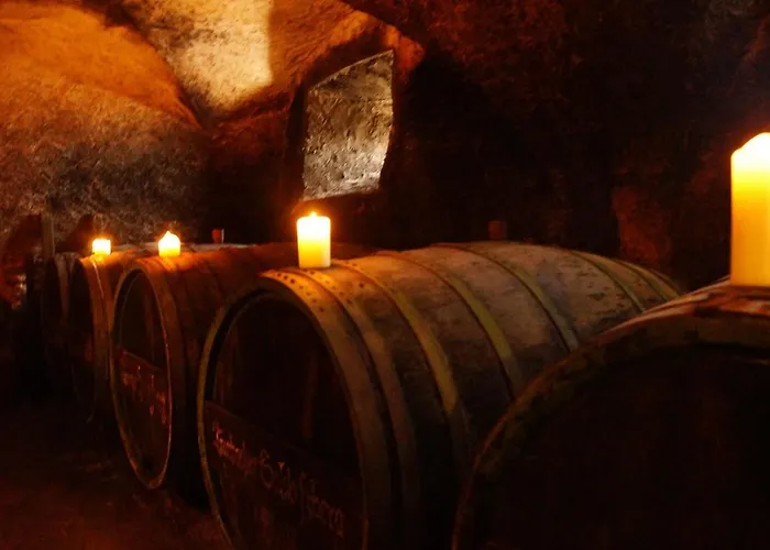 Abtei - Wohnen Auf Einem Historischen Weingut *